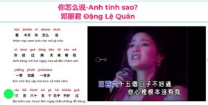 Học tiếng Trung qua bài hát 你怎么说-Anh tính sao? Đặng Lệ Quân 邓丽君 Teresa Teng